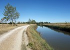 DSC02949 b