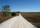 DSC03039 b