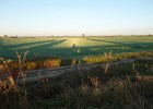 DSC03157 b