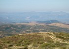 DSC03584 b