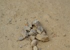 DSC03671 b