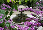 DSC04205 b