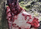 2011-04-02 Zombie 01